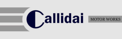 Callidai